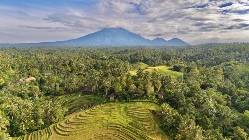 Clove Tree Hill - Spirit and Soul Retreat Bali